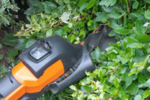 Los mejores cortasetos Black & Decker